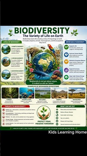 Biodiversity Explained | Why Biodiversity Is Important for Life on Earth
