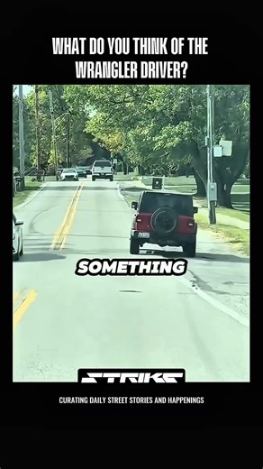 Driver witnessed something on the road