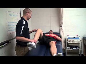 Hip Scour Test