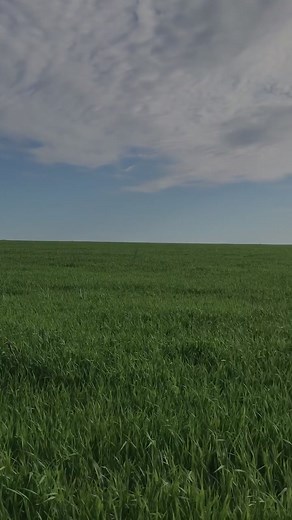 Exploring Dreamcore Aesthetic: Nostalgia, Weirdcore, and Soft Vibes