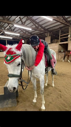 Remake!!! (My edit) #fyp #horse #equestrian