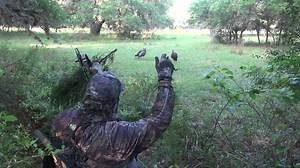 564 reactions · 132 shares | Does your hunting gear let you get away with this? It is a fact that birds can see certain electrical fields such as those that are emitted by living beings through muscle movements. It is these fields that confirm to the bird that the movement is from a living being not an inanimate object. HECS technology blocks these emissions and make your movement look like inanimate movement and nothing that alarms a turkey. | HECS | Facebook