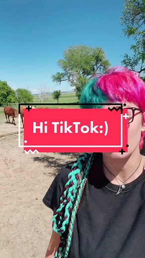 DIY Horse Halter Braiding Tutorial