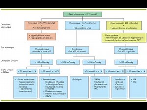 Hyponatrémie "Diagnostic étiologique en Bref " Dr.Bouhentalla
