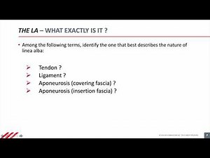 The Linea Alba- what is it?