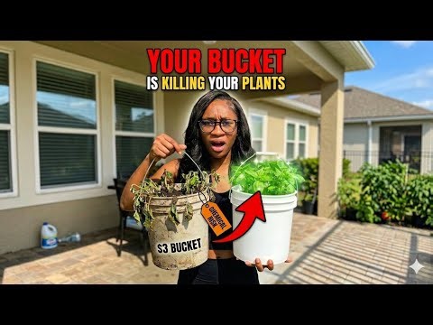 Why Your Bucket Garden Is Failing (Fix This NOW Before Your Plants Die!)