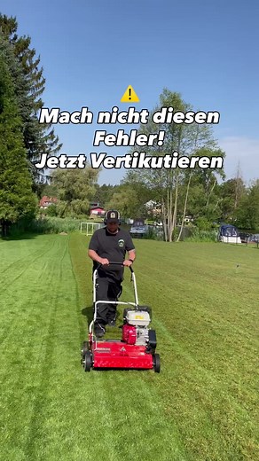Rasen vertikutieren: Tipps für den optimalen Zeitpunkt