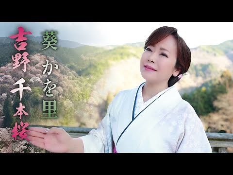 【MV】葵かを里「吉野千本桜」（2023年3月1日発売）【公式】
