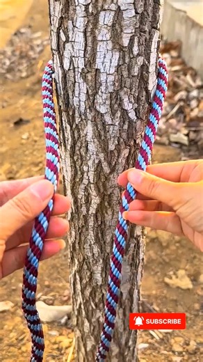 Pro Knots Skill for Survival || Daily LifeHacks Tricks🪢