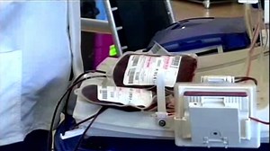 Gay blood drive hopes to end donor ban