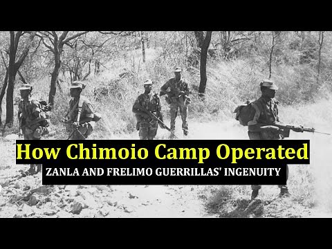 Chimoio Camp: The AMAZING Logistics That Kept 10,000+ ZANLA & FRELIMO Cadres Alive