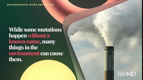 Environmental Risks and Cancer