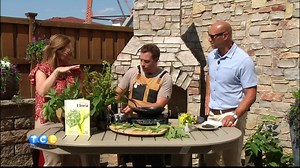 Foraging for your own food