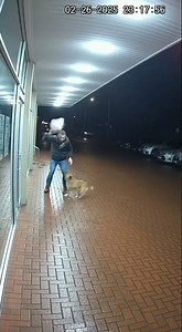 Ultra realistic CCTV footage from a store entrance at night; stray dog suddenly charges at a man 1