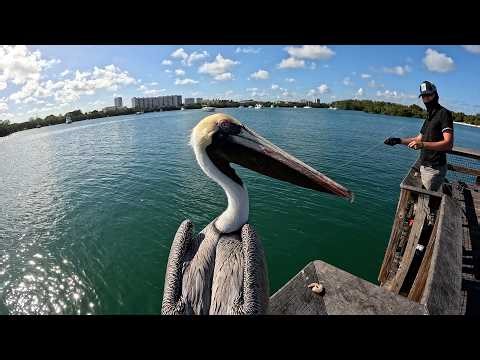 Oleta River State Park Miami | Kayaking, Trails & Nature Escape