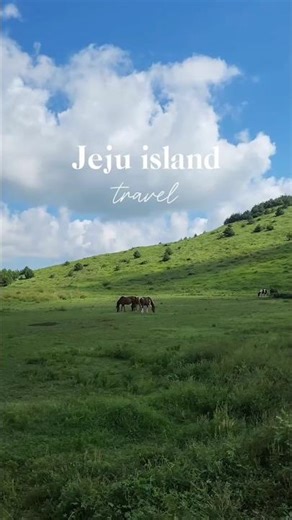 꿈 같았던 제주도 3박 4일🌴🍊