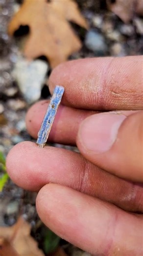 Beautiful Kyanite Crystals of Massachusetts ⛏️💎 . . . . . . . . . . . . . . . . . . . . #reels #reelsfb #fb #instagram #crystals #kyanite #nature #mining #rocks #thefinders #crystalhunt #fyp #awesome #epic #rockhound #crystalhunter #thefinders #amazing #beautiful #geology #Massachusetts #foryou #entertaining #foryoupage #quartz #crystalhunt #outdoors #gemstones | DiscoveringMinerals