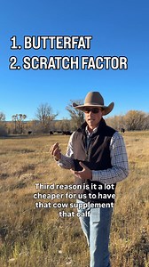 376K views · 4.9K reactions | Here’s a little bit about why we do what we do, and we like to do things different! Heifer development is one of our biggest driving forces behind creating the best animal for our environment, so we constantly adapt, just like they have to. #ranching #wyomingagriculture #workingranch #agriculture | Sims Cattle Company | Facebook