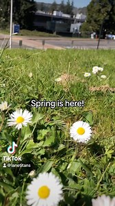 Know what classes you need for spring term? Come to Reg Fest to talk to advising, admissions, and financial aid all in one place. Sat. 3/23, 9am-2pm, Bldg. 1. #college #communitycollege #springbreak | Lane Community College