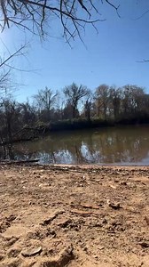 Hunny bunny on Reels