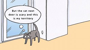 26K views · 235 reactions | Wondering why your cat is spraying? Cats can spray to mark their territory and leave information for themselves and other cats to 'read' - if they're spraying indoors it could mean they're feeling stressed or threatened. Visit www.cats.org.uk/spraying to find out more. | Cats Protection | Facebook