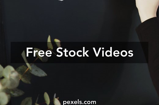 Congratulations Videos, Download The BEST Free 4k Stock Video Footage & Congratulations HD Video Clips