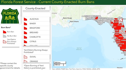 Florida's worst drought in 25 years sparks wildfire concerns, burn bans