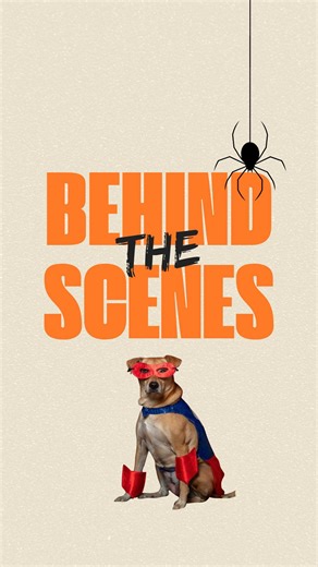 18 reactions · 4 comments | So much love, laughter, and a little...