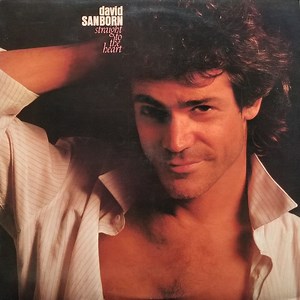 David Sanborn - Straight To The Heart
