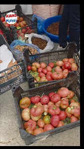 13K views · 78 reactions | Gercüş’te 4. Bağ Bozumu ve Gastronomi...