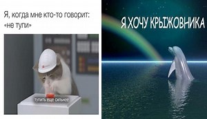 10 Russian-Language Memes That Translate Perfectly