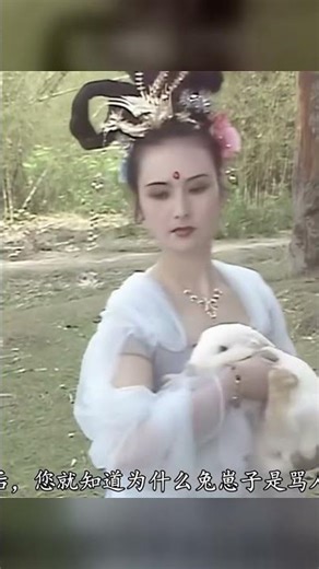 月宮神話竟然這么離譜！玉兔是公的，嫦娥是蟾蜍…太不可思議！ #西游记 #孙悟空 #猪八戒 #文脉里的中国 #神话