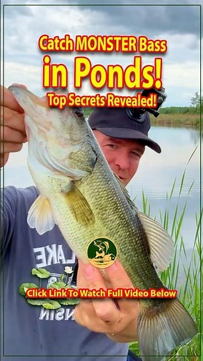 🎣 Catch MONSTER Bass in Ponds❗ 🐟 Top Secrets Revealed❗💥