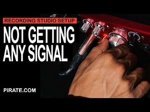 What to Do if You’re Not Getting a Signal to Your Focusrite Interface - Recording Studio Setup