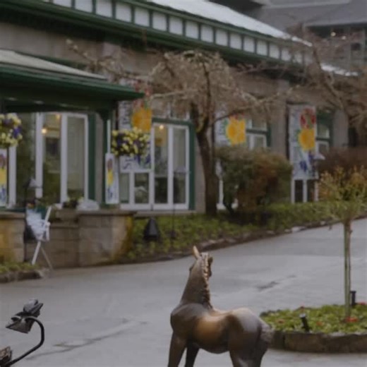 February at The Gardens is full of cozy charm, colour, and history. It’s the perfect winter escape in Brentwood Bay. If you’re looking for a reason to visit, we have many this season, including our Spring Prelude, Historical Display, Winter Gardens and Afternoon Tea. butchartgardens.com/winter/ #butchartinseason #butchartgardens #wintergarden #springprelude #afternoontea | The Butchart Gardens