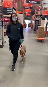 Lily is here for a 2 week board and train program. She is having a shopping day with Camille and Jessica before going back to the training center to continue enhancing her skills. ----- If you are interested in having your dog properly trained then please go to www.aftdogtraining.com | AFT Dog Training