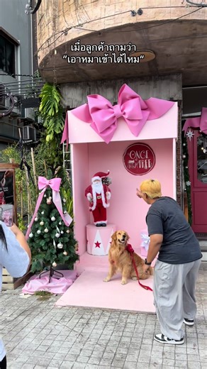 🐶🐱PET FRIENDLY = พาสัตว์เลี้ยงเข้าได้ 🚗ที่จอดรถ = หน้าร้านมีเยอะหลายคัน 📌พิกัด เสรีไทย เสิร์ช once upon a tree cafe ชื่อร้านก็เจอนะครับ ร้านเปิดทุกวัน ปีใหม่ก็เปิดดดดครับ🫶