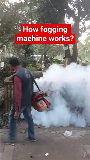 How fogging machine works? Mosquito! Dengue Fever In Dhaka#shorts