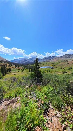 I can appreciate this… #offroad #overlanding #jeep