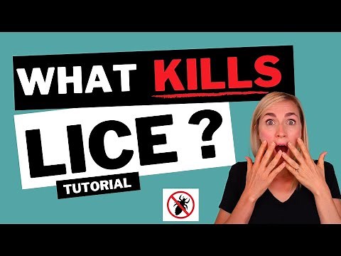 What Kills Lice Tutorial