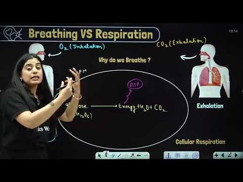 Project 45 Bio lecture 2