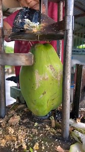 827K views · 4.2K reactions | Novo partido d cococ | curiosidade e envençaes | Facebook