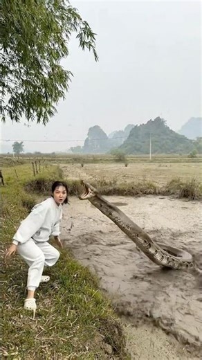 Baby Almost “Swallowed” by a Giant Cartoon Python! 😂🐍👶#couple #martialarts #shorts