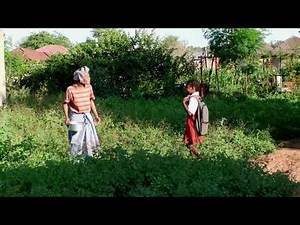 CONTAINER (LONGA COMEDY)