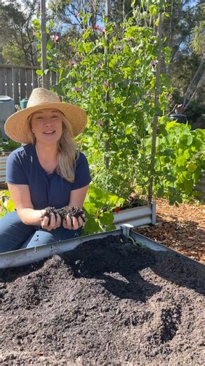 87K views · 424 reactions | Stop  filling your veggie garden beds...