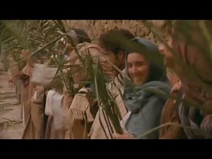Visual Bible - John 12:12 - 19 - Jesus' entry into Jerusalem (Palm Sunday)