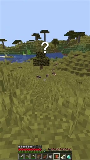 🐺 Ip: mc.gamesmadeinpola.com 📌 #Minecraft #servidor #gamesmadeinpola #gmip #fyp #nuevo #new #feed #today #movie #mc #minecraft #gmip #GMIP