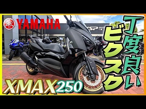 [Yamaha] "XMAX250" Test Ride: "A big bike with just the right amount of power and size" [Motoblog]