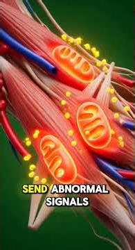 Inside Cervical Spondylosis: 5 Warning Signs Your Neck May Be Sending You
