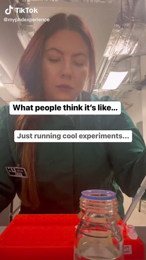 Inside the Lab: A Glimpse into the Life of a Scientist